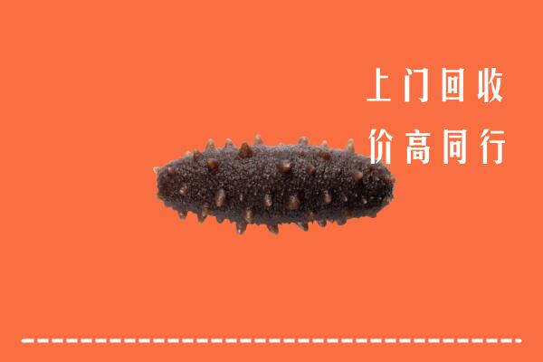 高价求购：中卫市中宁回收海参