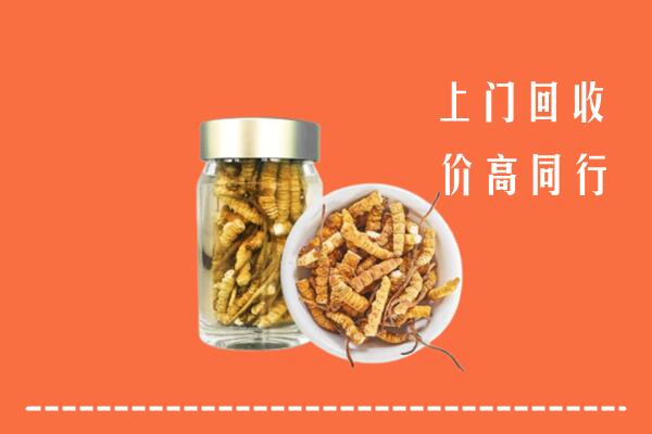 中卫市中宁回收冬虫夏草